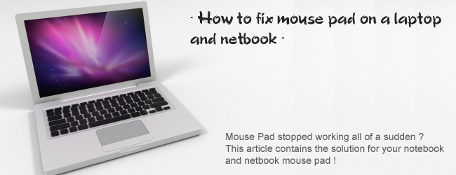 How to fix mouse pad on a laptop & netbook