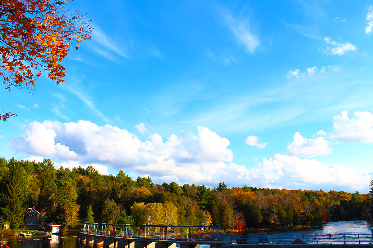 Haliburton in Muskoka