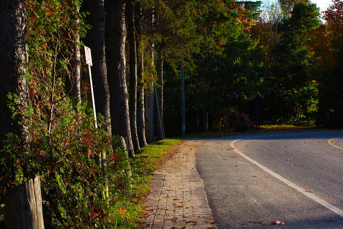 Haliburton in Muskoka