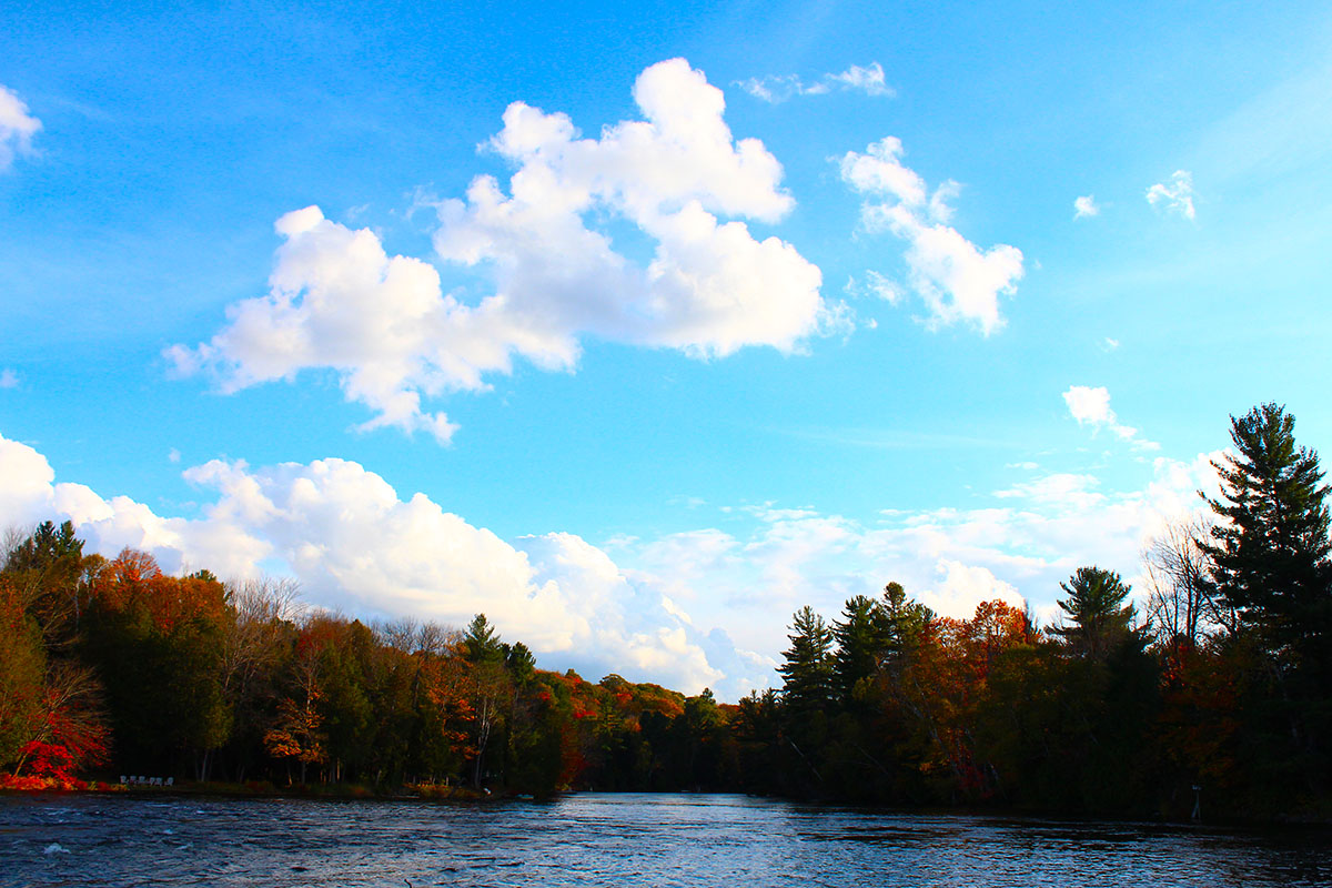 Haliburton in Muskoka