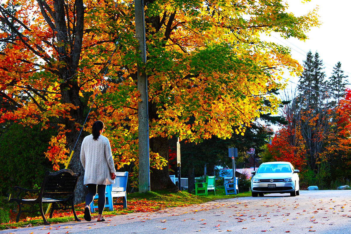 Haliburton in Muskoka