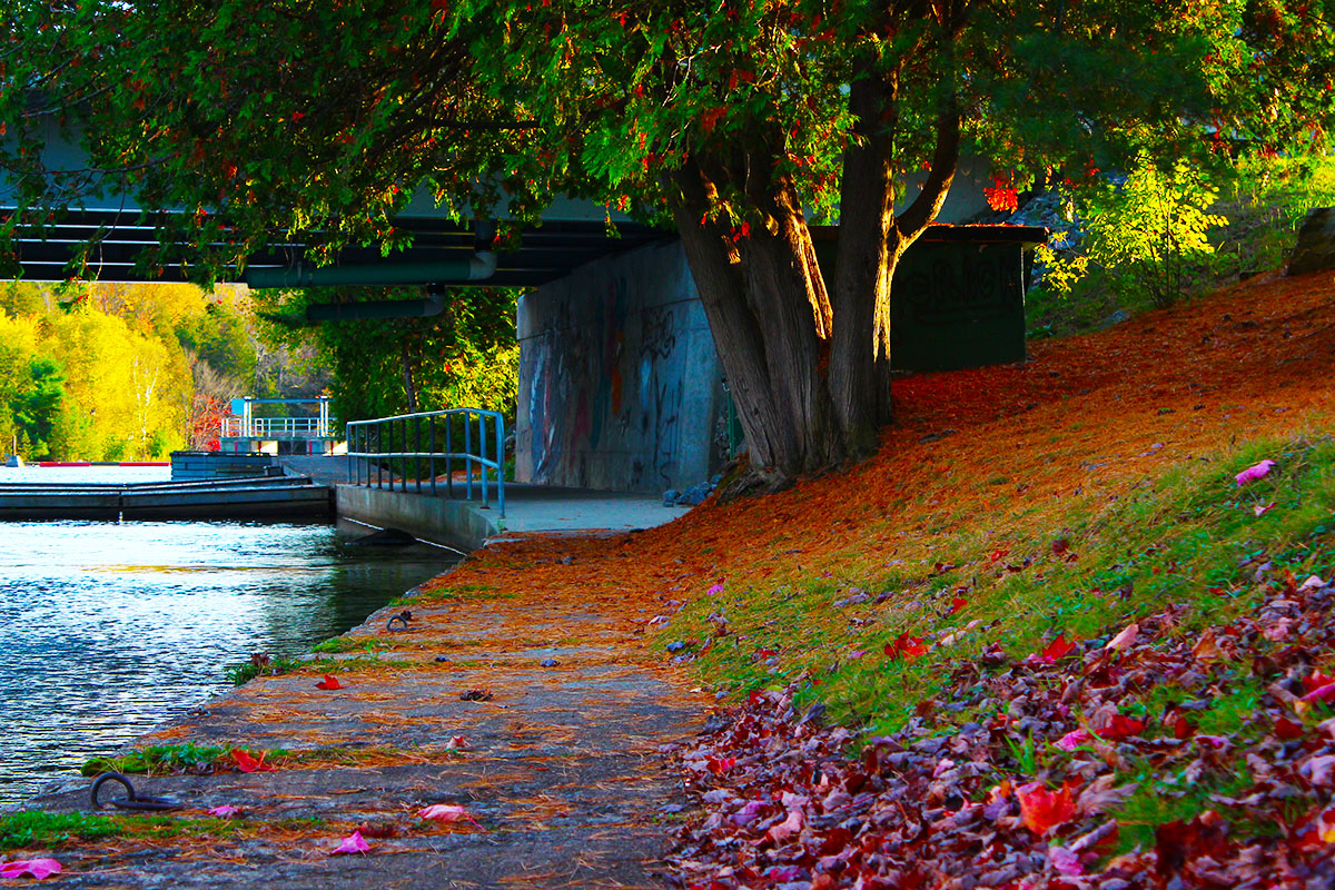 Haliburton in Muskoka