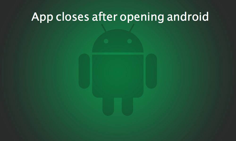 app_closes_after_opening