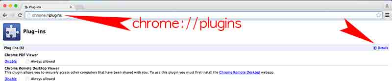 remove npfdm.dll from the plugin directory chrome