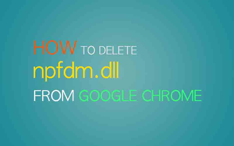 Remove npfdm.dll from Google Chrome (Plugin Directory)