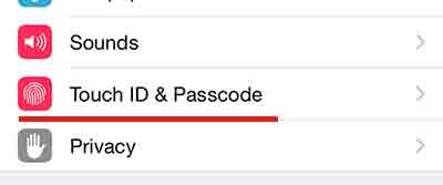 how to change password on iPhone 6, iPad Air, iPod touch, iPad Mini