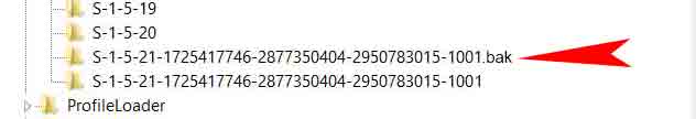 Right Click on the registry key with the red arrow > Click on Rename and add .ba at the end of the registry key. (ex. S-1-5-21-1725417746-2877350404-2950783015-1001.ba)