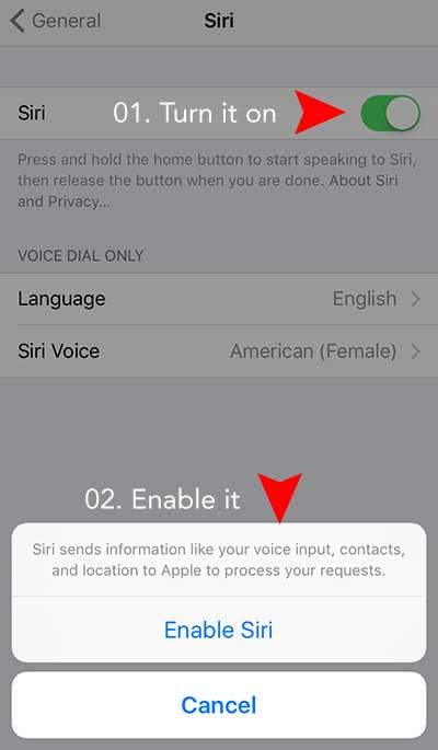 how to enable Siri on iPhone 6, 6s, 6 plus, 6s plus, iPad Air, Mini