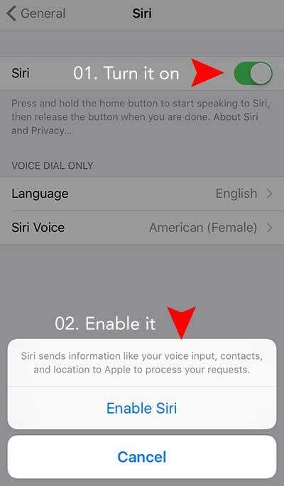 how to enable Siri on iPhone 6, 6s, 6 plus, 6s plus, iPad Air, Mini