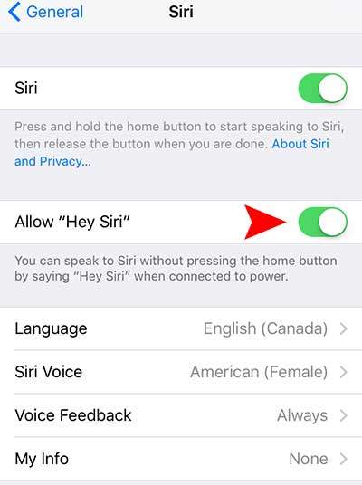 how to enable Siri on iPhone 6, 6s, 6 plus, 6s plus, iPad Air, Mini