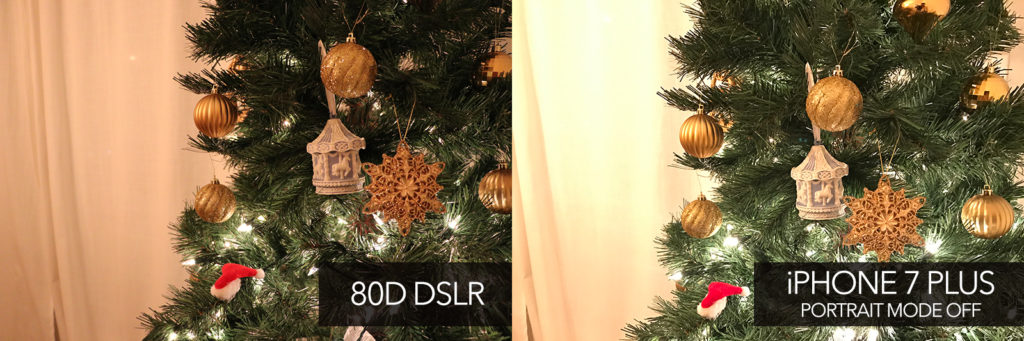 iPhone 7 plus vs DSLR 80D image test