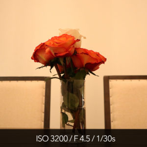 Canon M5 high ISO test and pictures