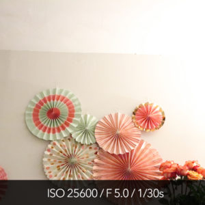 Canon M5 high ISO test and pictures