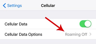 iPhone (iOS) - How to limit cellular data usage