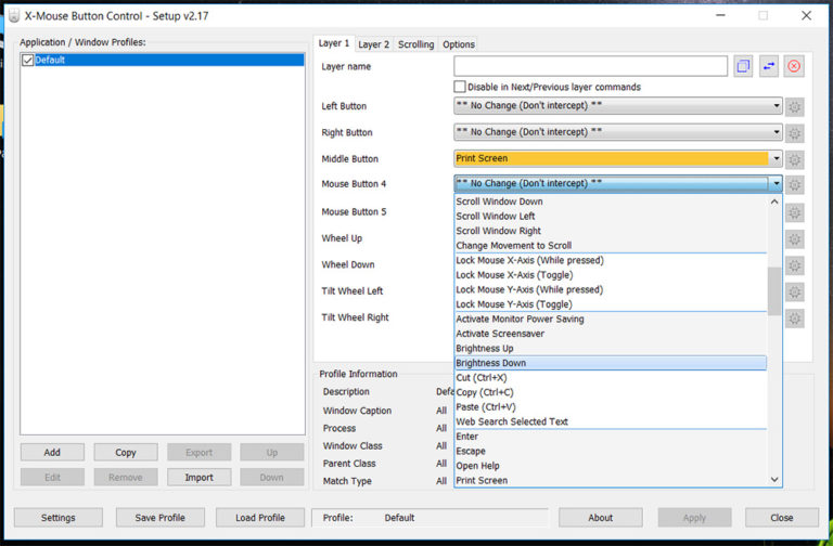 How to customize mouse buttons in Windows 10 | P&T IT BROTHER ...