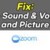 Fix: No sound, voice, picture in Zoom Meeting (for Windows 10 PC, How to fix it)